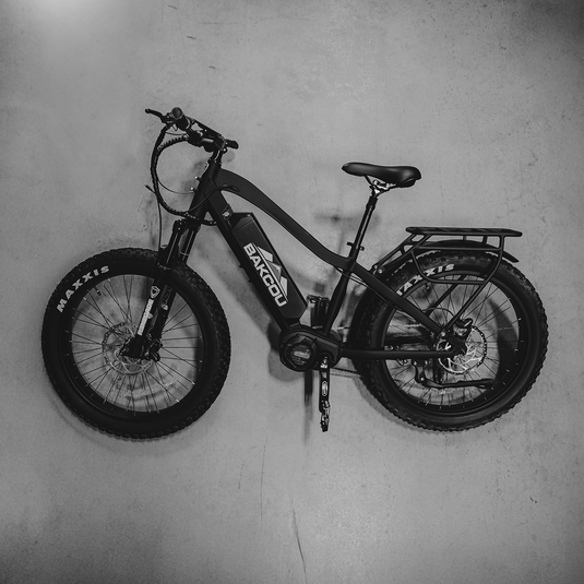 Bakcou Mule E-Bike
